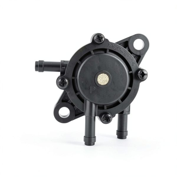 Hipa Vehicle Fuel Pump Replacement Part-1